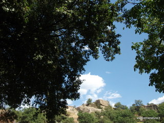 Pietramarina